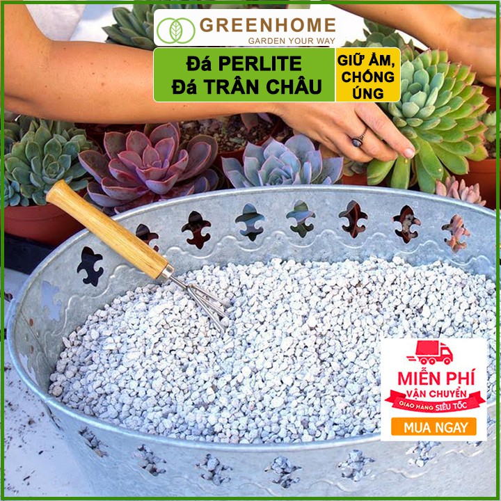 Đá Perlite, bao 2kg, đá trân châu trồng hồng, sen đá, thuỷ canh giàu khoáng chất, tăng độ tơi xốp trong đất |Greenhome