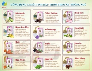 TINH DẦU THƠM NGÂN BÌNH