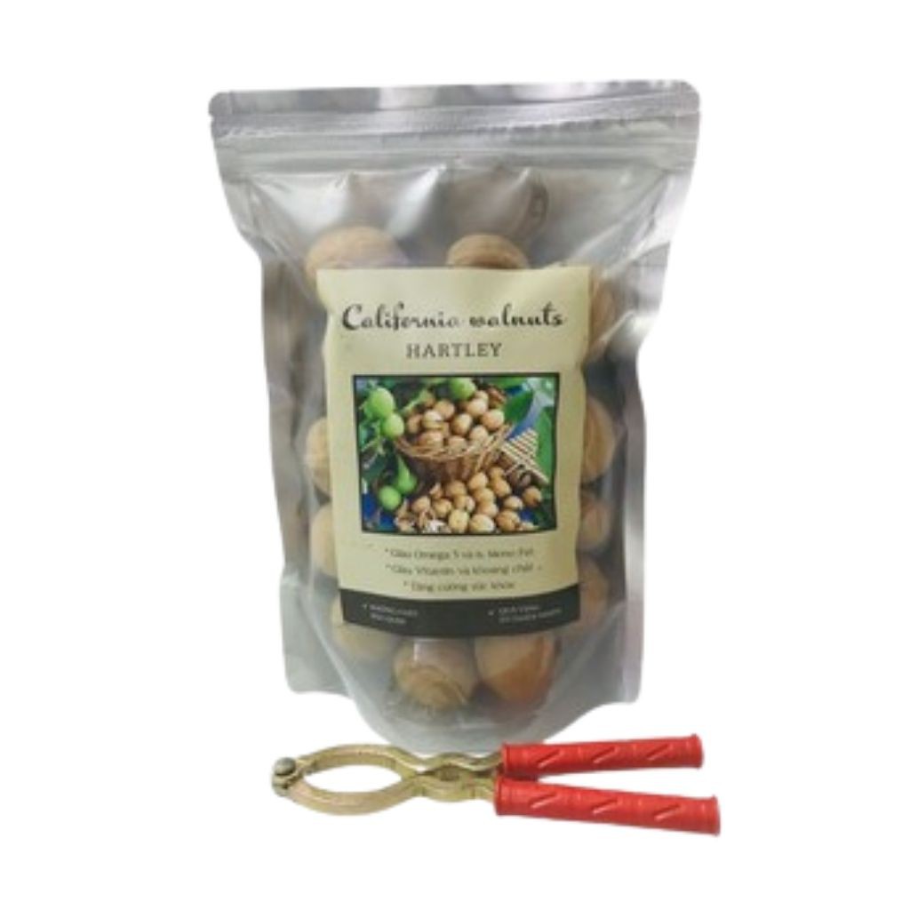 Hạt Óc Chó Giúp Sức Khỏe Có Nhiều Dinh Dưỡng Tốt Nhất - ALOKIDS TB