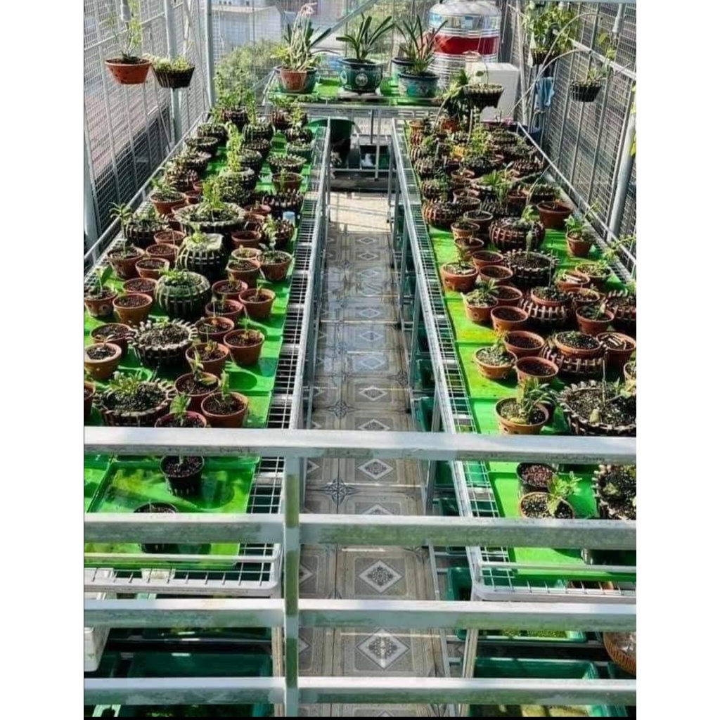 Khay hứng phân chim - đựng nước , làm mát cho hoa lan ,cây cảnh  - Hàng loại 1 dày dặn - Bền với thời gian