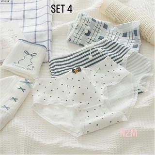 Set 6 quần chip bé gái lớn