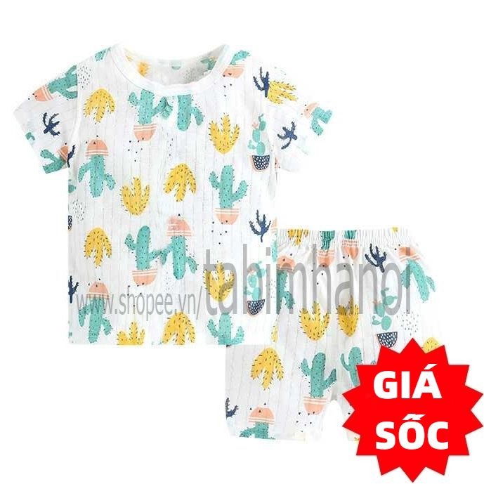 [MADE IN VIETNAM] Đồ bộ cộc tay cho bé trai và bé gái chất cotton giấy QATE240 , quần áo trẻ em cho bé sơ sinh đến 16kg