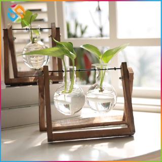Khung Gỗ Trong Suốt Trồng Cây Trang Trí Nội Thất