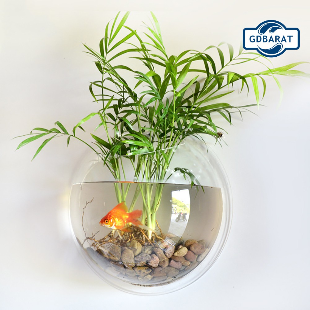 Bình Hoa Treo Tường Bằng Nhựa Acrylic Trong Suốt Thiết Kế Sáng Tạo Độc Đáo