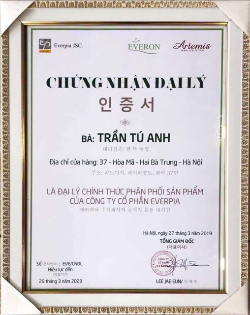 Ruột gối ôm EVERON