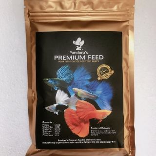 Cám pandora siêu phẩm dành cho guppy