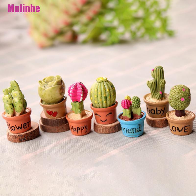 5 Cây xương rồng trong chậu thu nhỏ để trang trí nội thất nhà búp bê