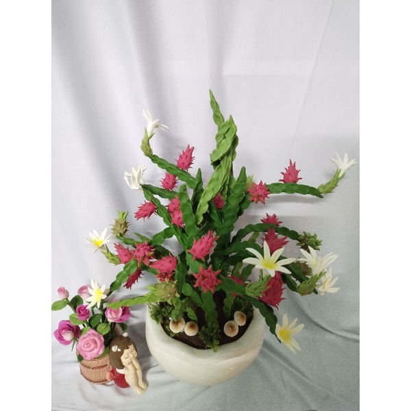 Chậu thanh long đất sét lớn cao 42cm!