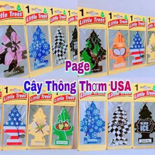 Combo 5 Cây thông thơm USA