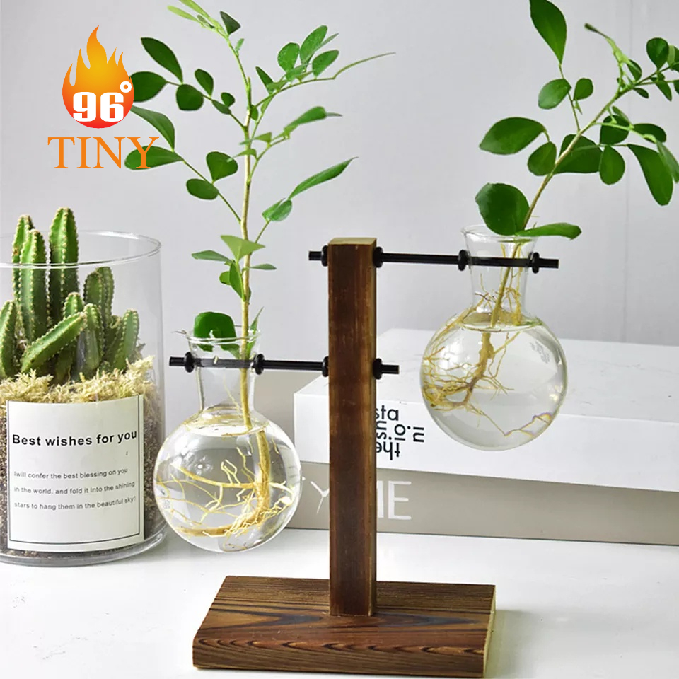 Bình hoa thủy tinh có đế gỗ dùng để cắm hoa, trồng cây thủy sinh, trang trí bàn làm việc, văn phòng, bàn học