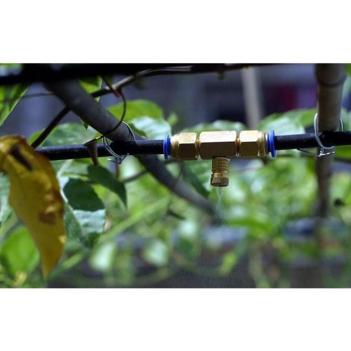 bộ máy phun sương 10 béc máy 24v đài loan