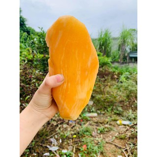 1KG SÂM ĐẤT LÀO CAI NGON BỔ RẺ
