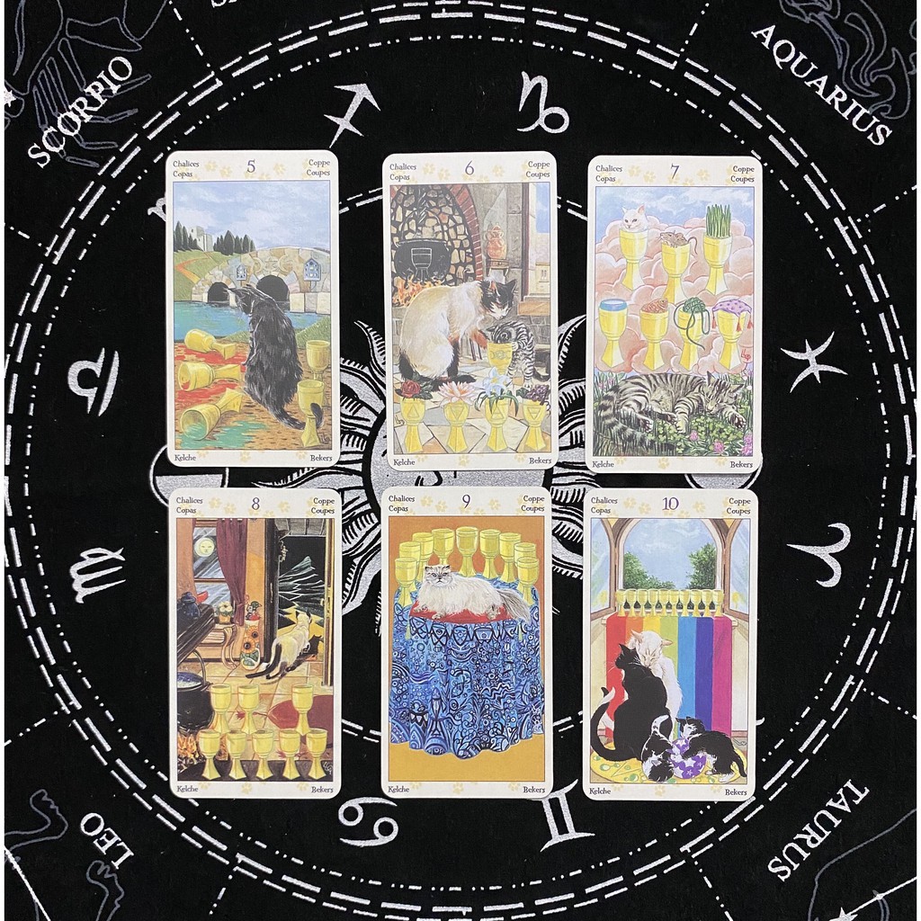 Bộ Bài Tarot Mini Hình Mèo Xinh Xắn