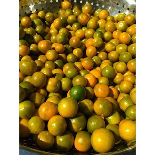 tắc xí muội nhà làm