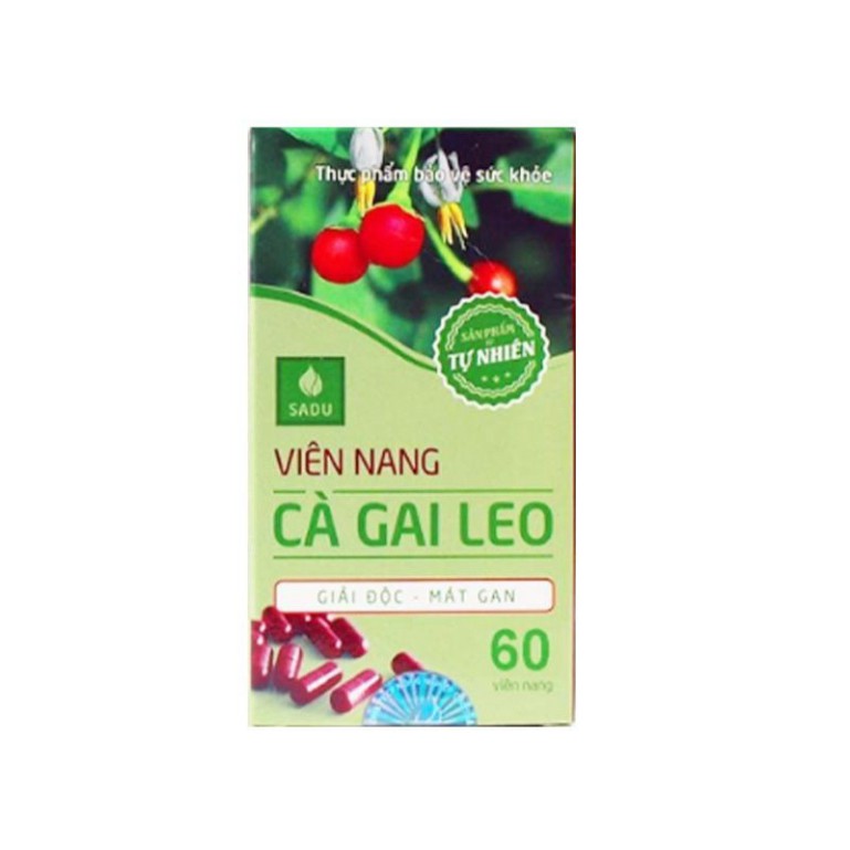 Viên nang cà gai leo Sadu - Hộp 60 viên - Bảo vệ lá gan của bạn hàng ngày