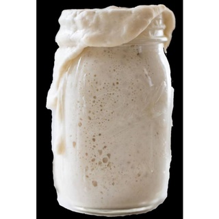 Con giống men tự nhiên sourdough có bảo hành, hướng dẫn hỗ trợ trọn đời và tặng kèm công thức làm bánh kinh doanh