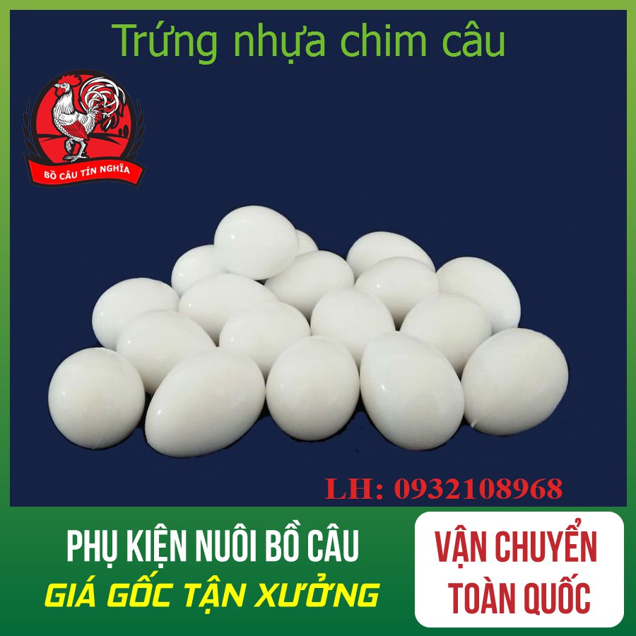 Combo 50 quả trứng nước chim bồ câu