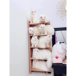 Kệ sách đa năng lắp ghép 5 tầng