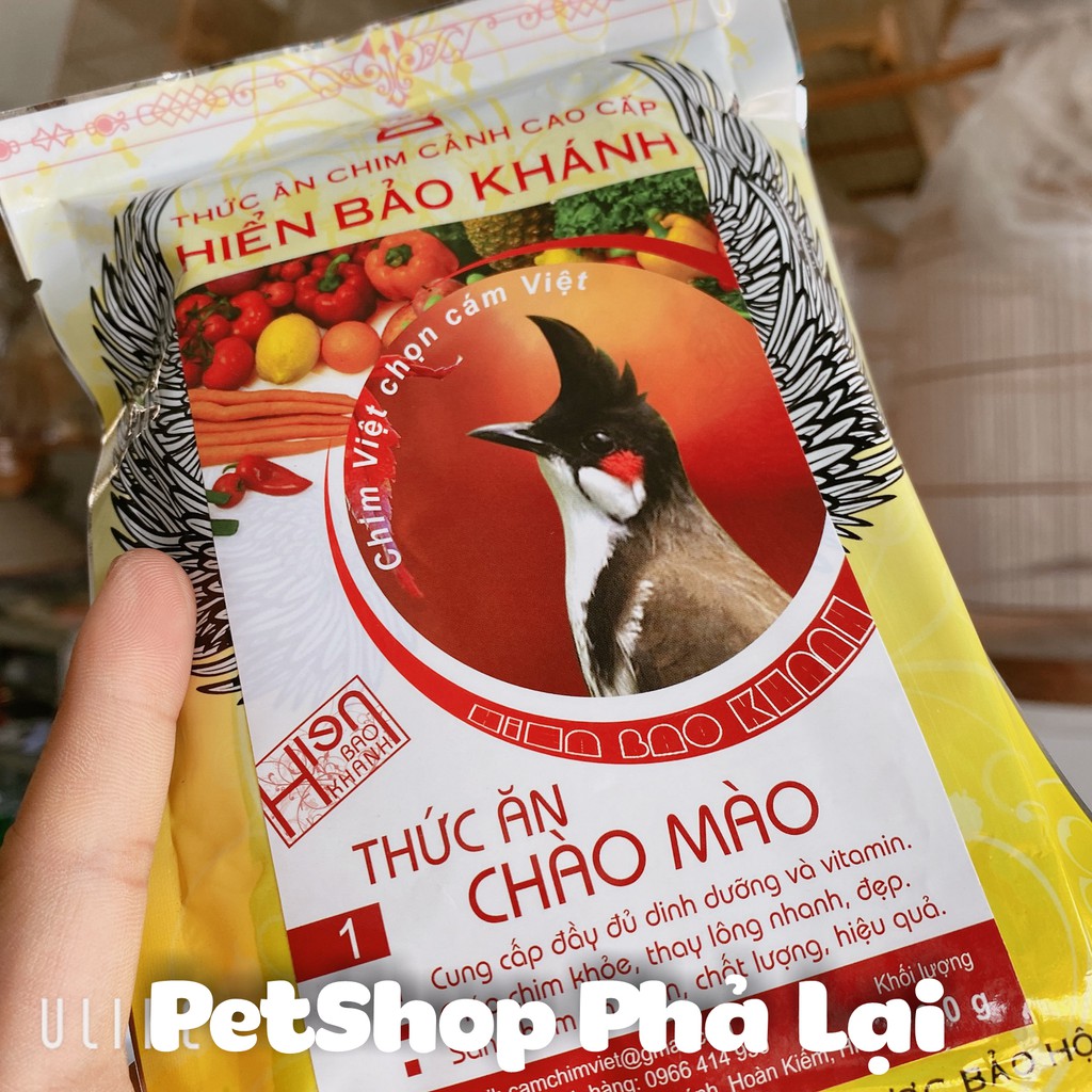 Cám Chào Mào Số 1