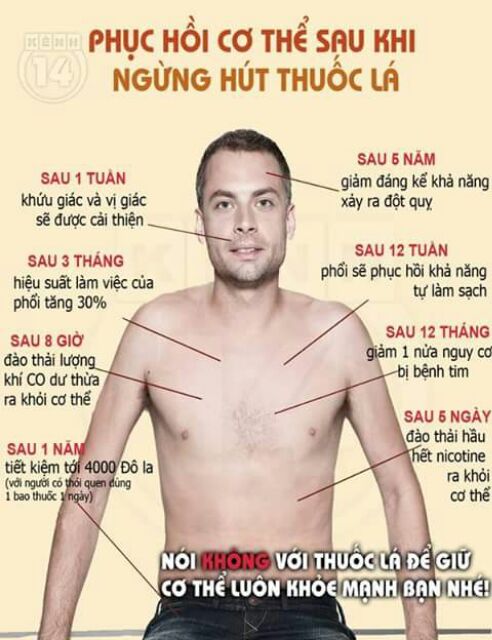 CAI THUỐC LÁ THANH NGHỊ