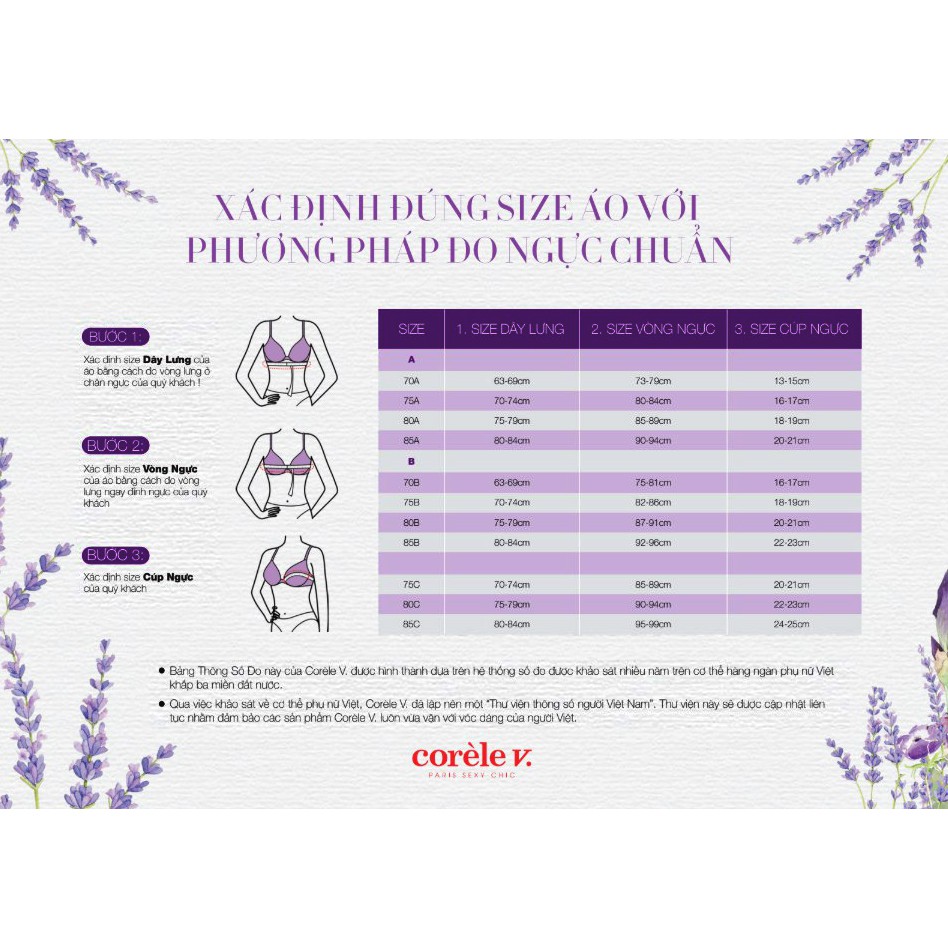 Áo ngực nữ CoreleV 3241A mút dày, có gọng, siêu nâng ngực 3 múi tạo khe