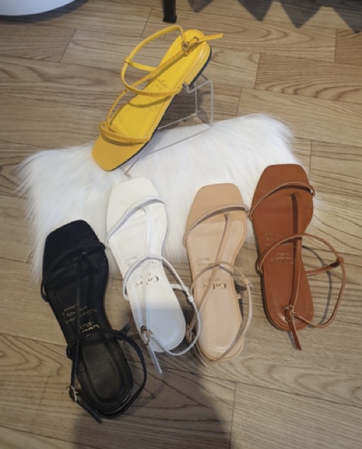 SANDAL DÂY COLEE🌱