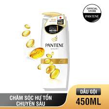 Dầu gội Pantene Nội Địa Nhật Bản Chăm Sóc Hư Tổn 450ml