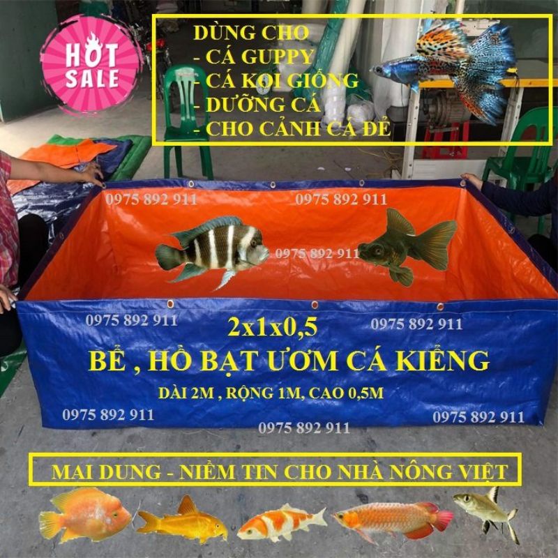 Hồ ,bể bạt nuôi dưỡng cá cảnh - GUPPY