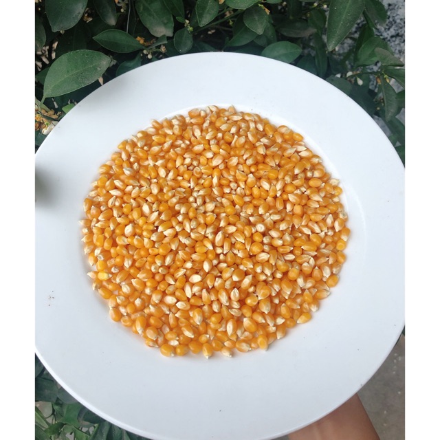 [Mã 11FMCGSALE1 giảm 10% đơn 250K] Bắp rang bơ ( bỏng ngô) 1kg