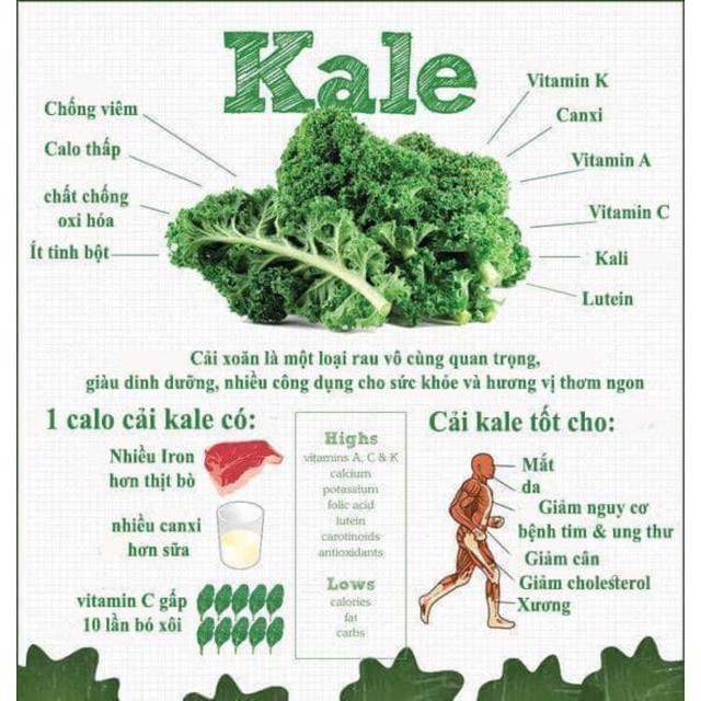 Bột Cải Xoăn (Kale) Behena giảm cholesterol - Hỗ Trợ Tiêu Hóa - Bột ăn dặm giúp bé phát triển trí não (Hộp50gr)