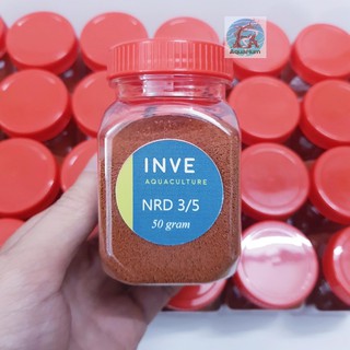 CÁM THÁI INVE 3/5 VÀ 5/8 (50g)