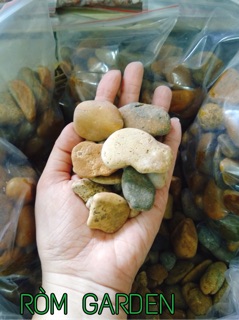 Đá cuội trang trí tiểu cảnh/ hồ cá/ sân vườn