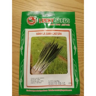 Hạt giống Hành hoa cao sản