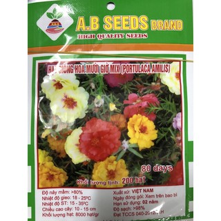 Hạt giống hoa mười giờ Mix 💐