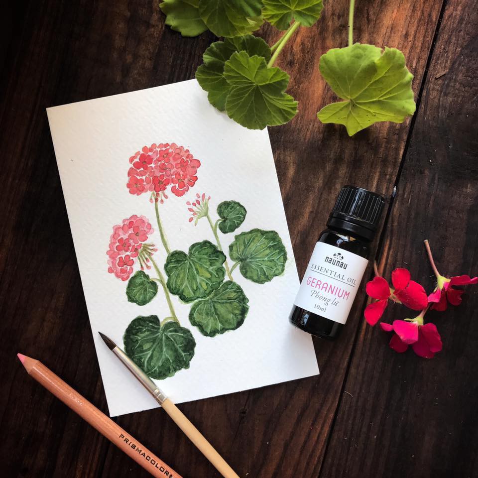 TINH DẦU PHONG LỮ 10ML