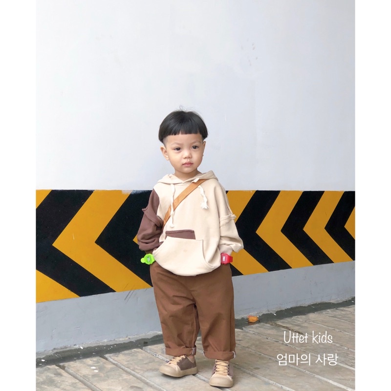 ÁO HOODIE PHONG CÁCH HÀN QUỐC CỰC KỲ ĐẸP DÀNH CHO BÉ GÁI VÀ BÉ TRAI (DA CÁ) 1576