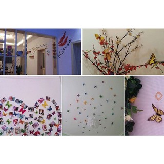 Combo 24 Con Bướm 3D Dán Tường chuẩn