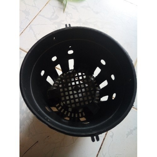 [SIEURE] Chậu nhựa trồng lan phi 21 hàng đẹp, phân phối chuyên nghiệp.