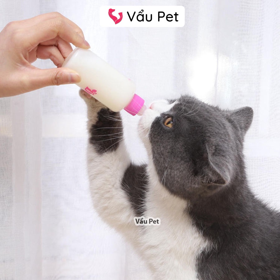 Bình Ti Cho Chó Mèo - Bình Sữa Chó Mèo Sơ Sinh Vẩu Pet Shop