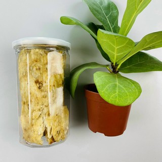 250Gr KHÔ CÁ THIỀU CÁN MIẾNG