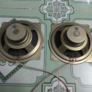 Loa toàn dải của Nga