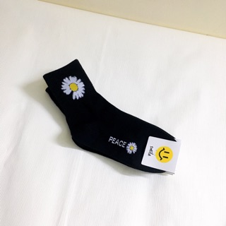 Tất Hàn cao cổ hoa Daisy GD Hoi Hoi Project