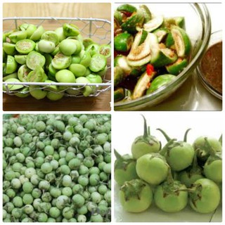 [SALE_1H] Hạt giống cà pháo xanh cao sản F1 - 3 gram