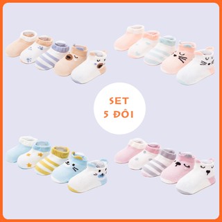 Set 5 đôi vớ/tất cổ thấp cho bé yêu