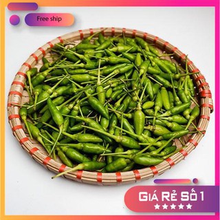 Hạt giống Ớt Xiêm