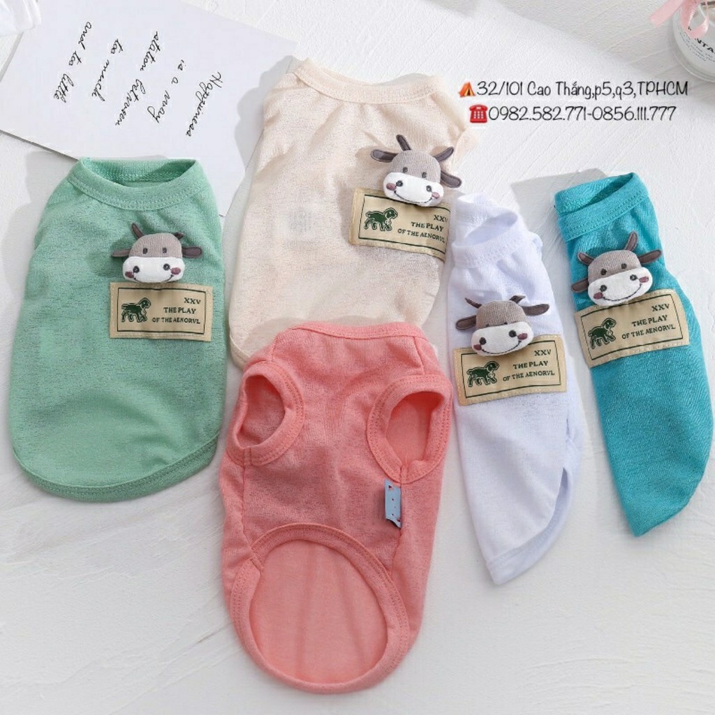 quần áo cho thú cưng có 5 size nhiều màu sắc dễ dàng lựa chọn