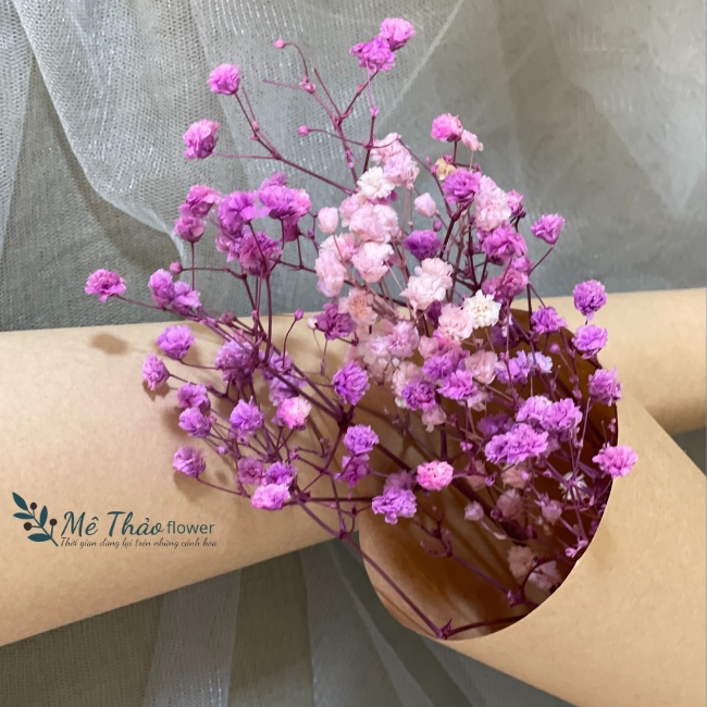 [Quà Tặng] Cành Lavender Khô Quà Tặng Kèm Trang Trí Bàn Học, Decor Phòng Khách Của Mê Thảo Flower