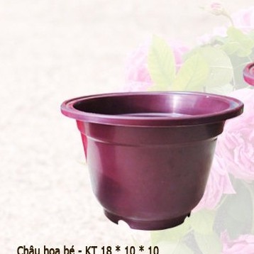 CHẬU HOA BÉ VIỆT NHẬT