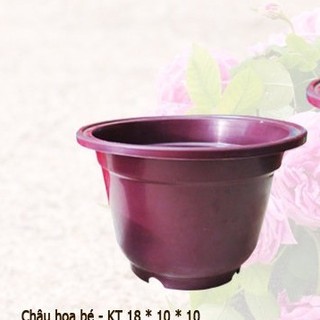 Chậu hoa bé việt nhật