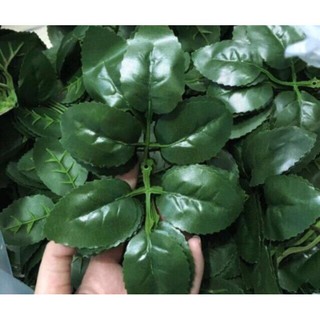 Lá hoa hồng lụa, 6 cánh